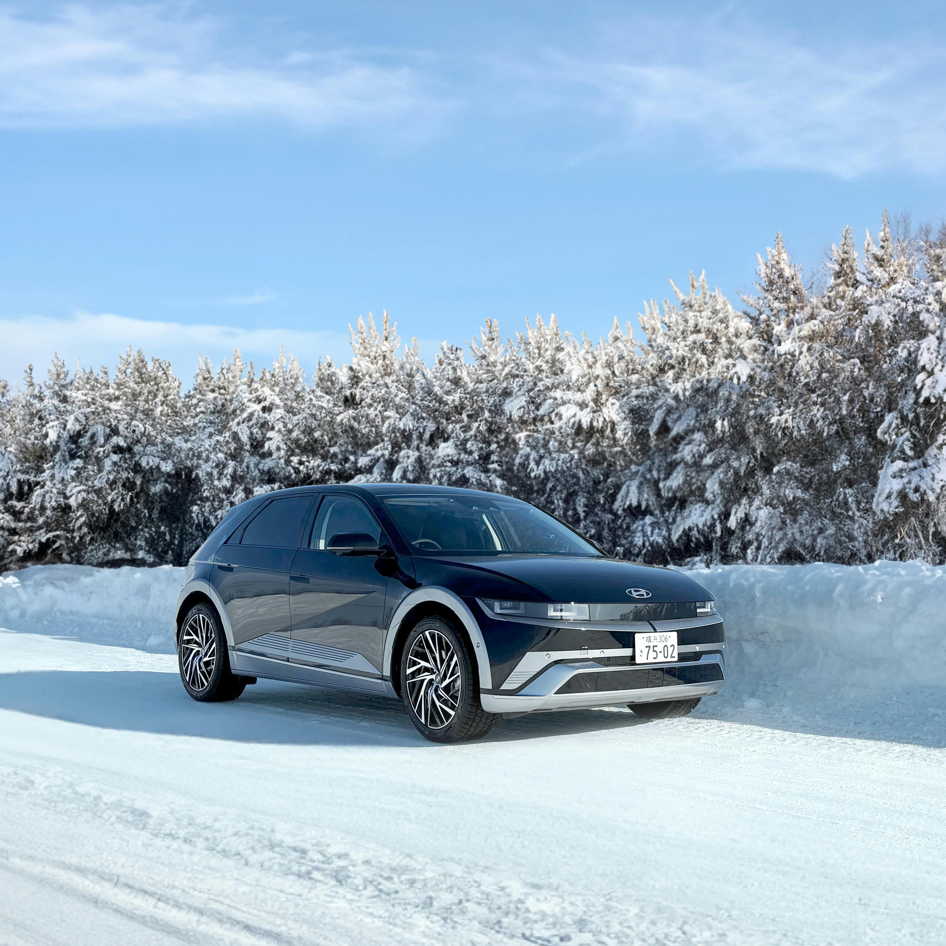 Best Used EVs for Canadian Winters