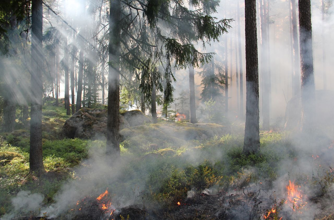 Can You Trust an EV's Range During a Wildfire Evacuation?