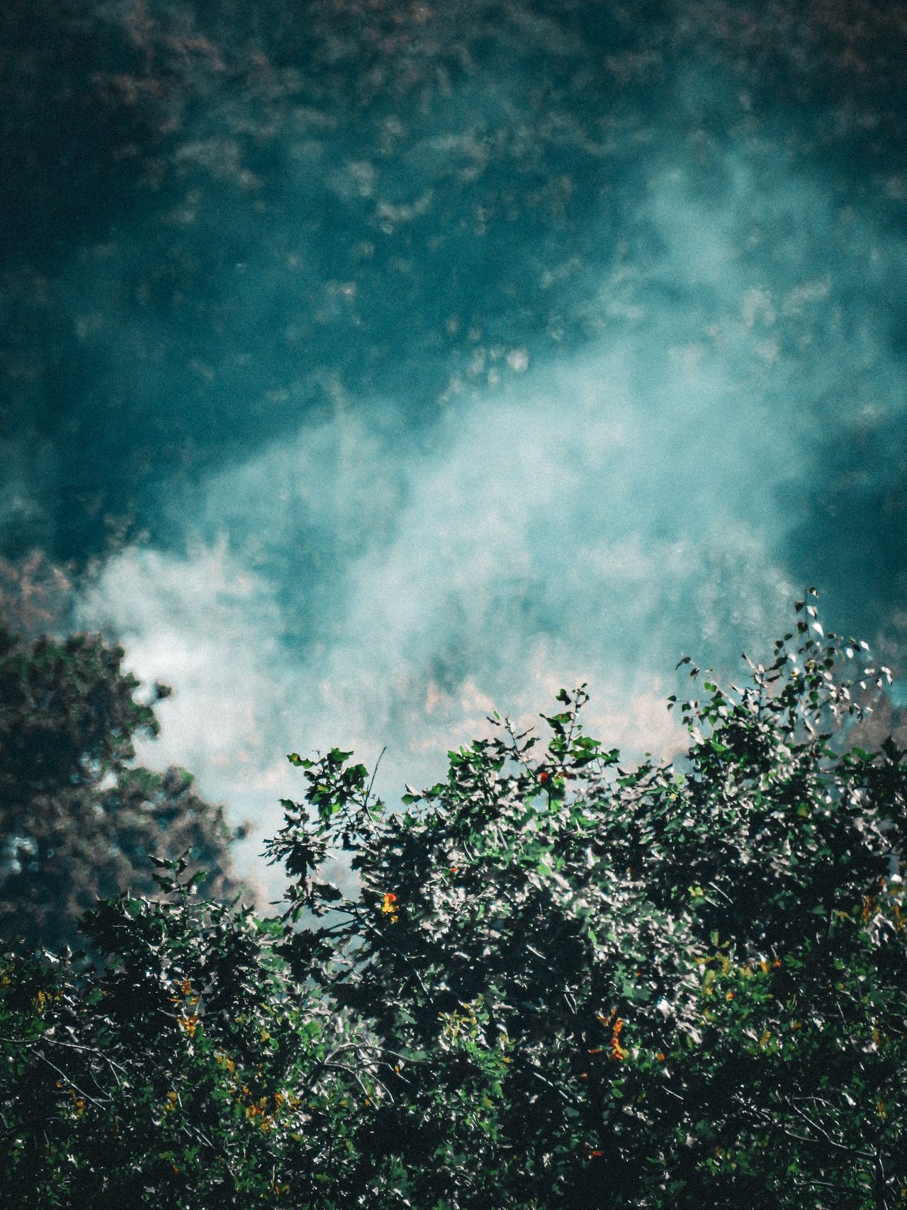 EV Cabin Air Filtration: Does It Actually Help During Smoke Season?