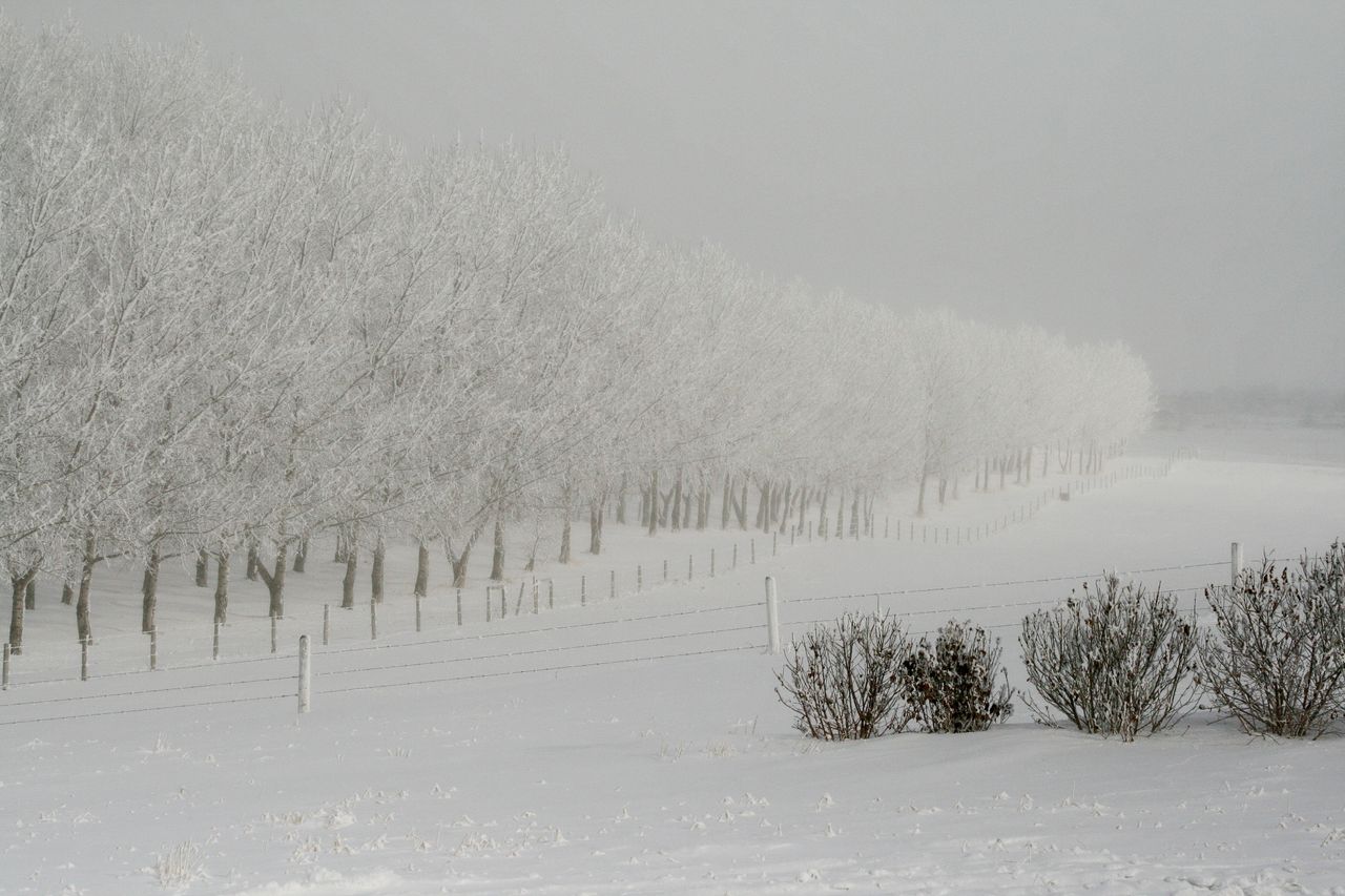 Cold Snap vs. Heat Dome: Which Extreme Is Actually Harder on an EV Battery?